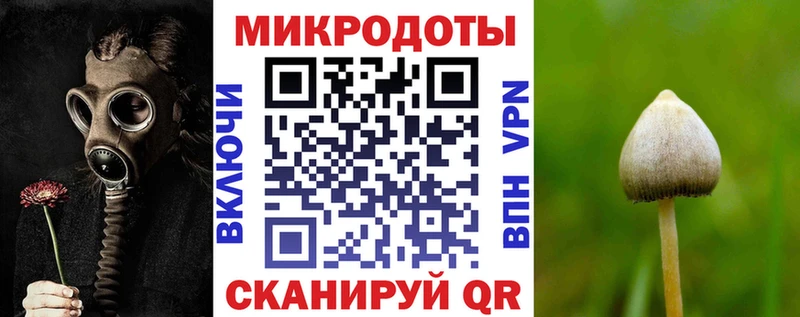 Галлюциногенные грибы Cubensis  Курчалой 